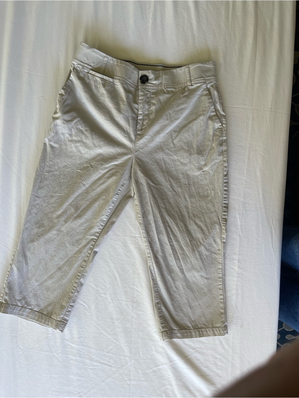 Christopher & Banks Light Gray Men's Chino Pants